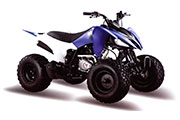 Квадроцикл MotoLand ATV 125S