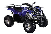 Квадроцикл MotoLand ATV 125U