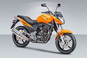 Мотоцикл Stels Flex 250