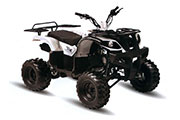 Квадроцикл MotoLand ATV 200U