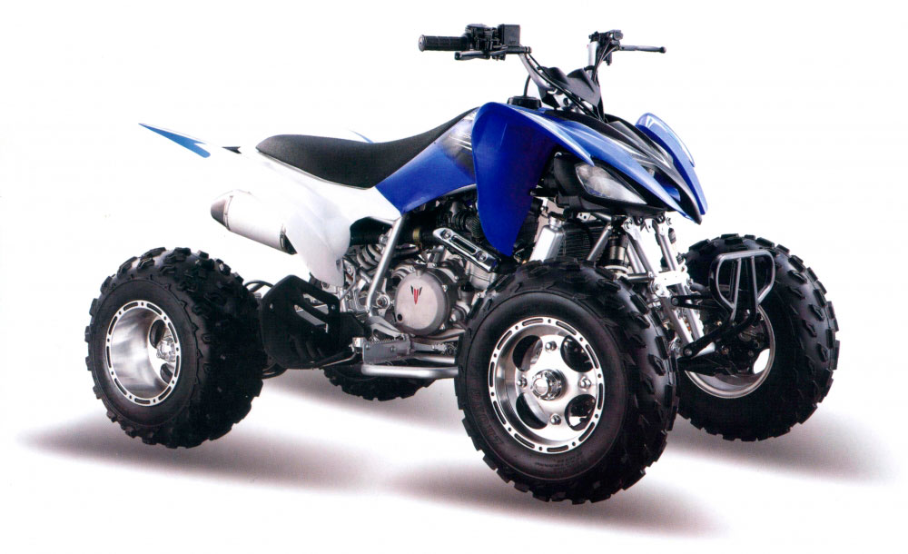 Квадроцикл MotoLand ATV 250S - купите в Крыму