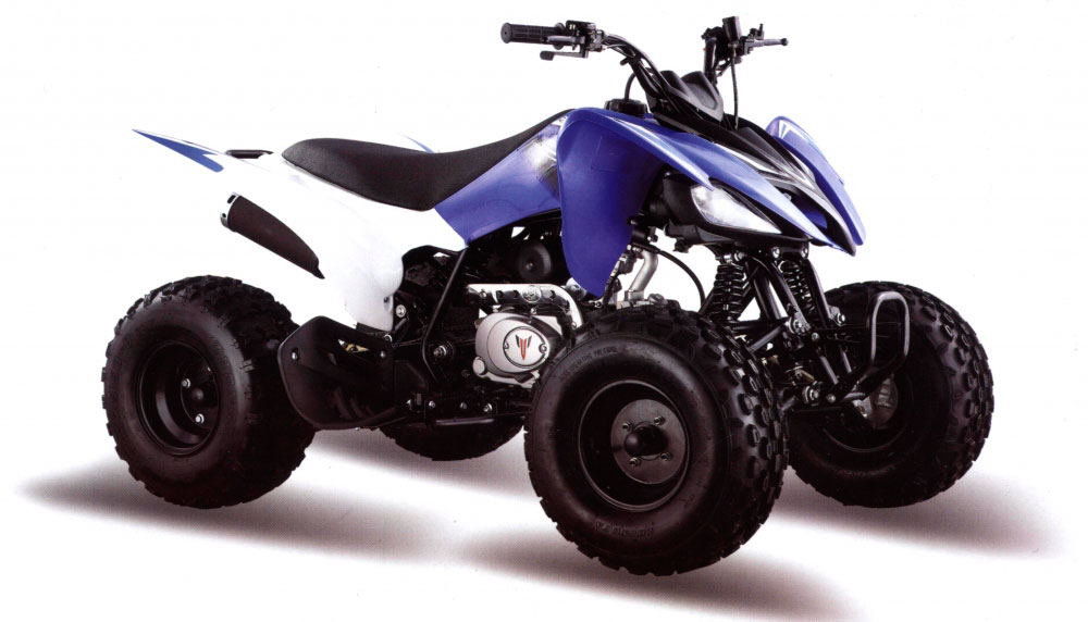 Квадроцикл MotoLand ATV 125S - купите в Крыму